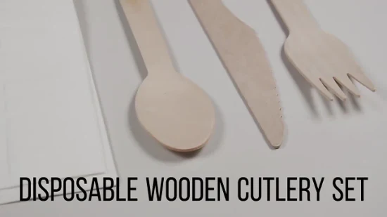 Cuillère de fourchette de couteau de couverts en bois jetables adaptés aux besoins du client par usine écologique